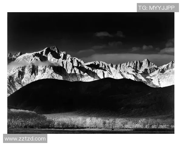 亚当斯的传奇人生与影响力探讨：从个人成就到社会贡献的全景分析